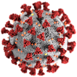 COVID definizione, storia ed epidemiologia